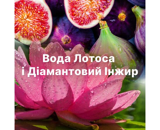 Кондиционер для белья Lenor Бриллиантовый инжир и вода лотоса 1200 мл (8006540909300), изображение 7 Кондиционер для белья Lenor Бриллиантовый инжир и вода лотоса 1200 мл (8006540909300), изображение 7
