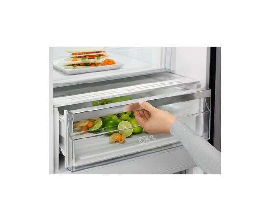 Холодильник Electrolux RNT7ME34K1, изображение 6 Холодильник Electrolux RNT7ME34K1, изображение 6