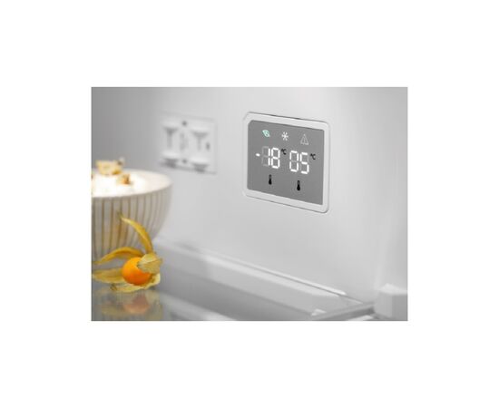 Холодильник Electrolux RNT7ME34K1, изображение 8 Холодильник Electrolux RNT7ME34K1, изображение 8