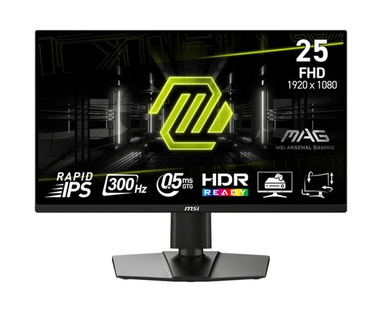 Монитор MSI MAG 255PXF