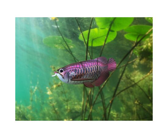 Пазл Eugy 3D Зоопарк: Азиатская арована (XEG-118), изображение 7 Пазл Eugy 3D Зоопарк: Азиатская арована (XEG-118), изображение 7