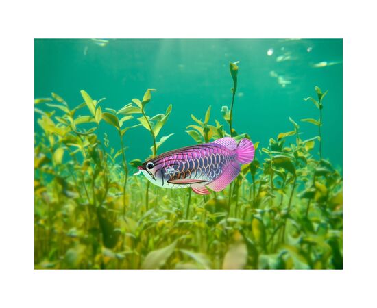 Пазл Eugy 3D Зоопарк: Азиатская арована (XEG-118), изображение 8 Пазл Eugy 3D Зоопарк: Азиатская арована (XEG-118), изображение 8