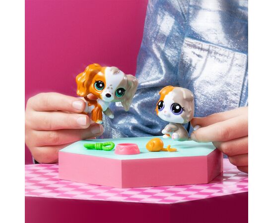 Игровой набор Littlest Pet Shop Друзья-двойники (00626), изображение 5 Игровой набор Littlest Pet Shop Друзья-двойники (00626), изображение 5
