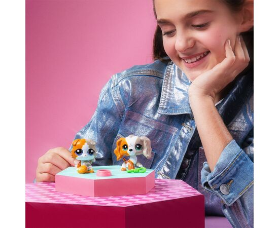Игровой набор Littlest Pet Shop Друзья-двойники (00626), изображение 6 Игровой набор Littlest Pet Shop Друзья-двойники (00626), изображение 6