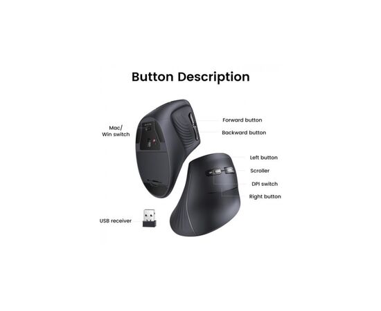 Мышка Ugreen MU008 Vertical Wireless Black (25444), изображение 5 Мышка Ugreen MU008 Vertical Wireless Black (25444), изображение 5