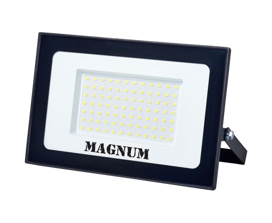 Прожектор MAGNUM FL12 ECO LED 100Вт slim 6500К IP65 (90018087)