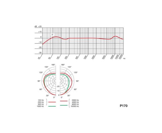 Мікрофон AKG P170 (3101H00410), зображення 3 Мікрофон AKG P170 (3101H00410), зображення 3