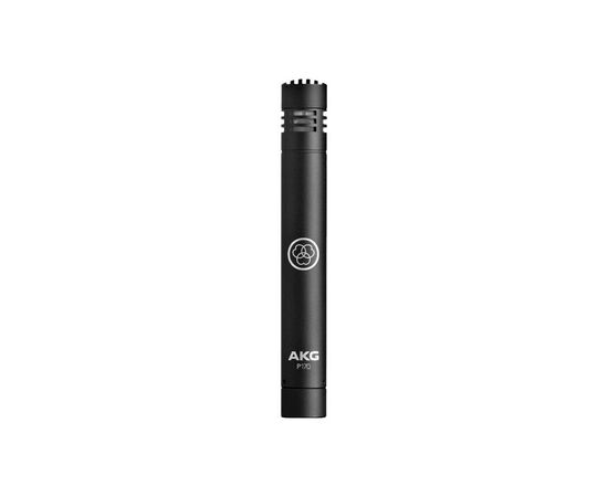 Мікрофон AKG P170 (3101H00410)