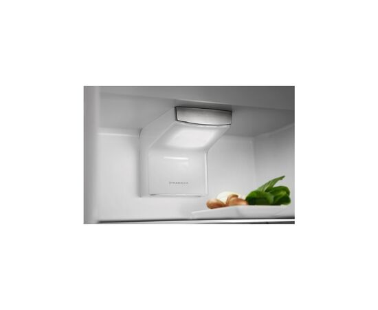 Холодильник Electrolux RNT6TE19S0, изображение 5