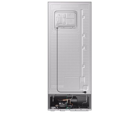 Холодильник Samsung RT42CB662022UA, изображение 4 Холодильник Samsung RT42CB662022UA, изображение 4