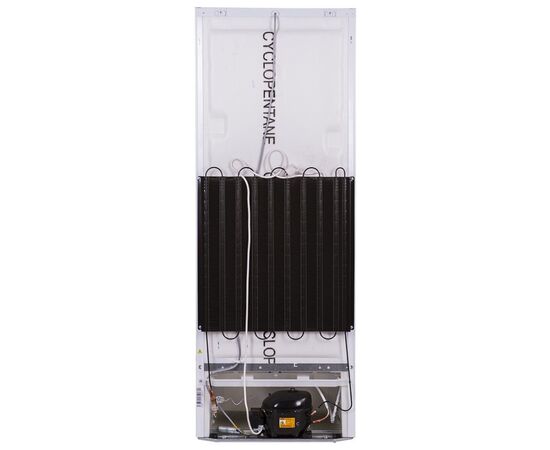 Холодильник Snaige C31SM-T1002E, изображение 4 Холодильник Snaige C31SM-T1002E, изображение 4