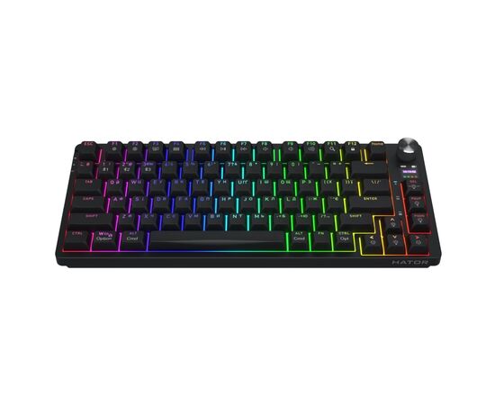 Клавіатура Hator Icefall Pro Wireless/Bluetooth/USB Black (HTK450UA)