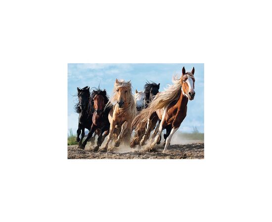 Пазл Trefl Скачущие лошади 1000 элементов (5900511104462), изображение 2 Пазл Trefl Скачущие лошади 1000 элементов (5900511104462), изображение 2