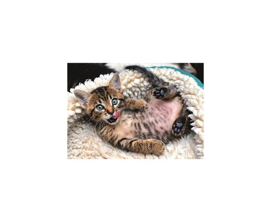 Пазл Trefl Веселый котенок 1000 элементов (5900511104486), изображение 2 Пазл Trefl Веселый котенок 1000 элементов (5900511104486), изображение 2