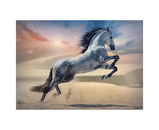 Пазл Trefl Величественный конь 1000 элементов (5900511107906), изображение 3 Пазл Trefl Величественный конь 1000 элементов (5900511107906), изображение 3