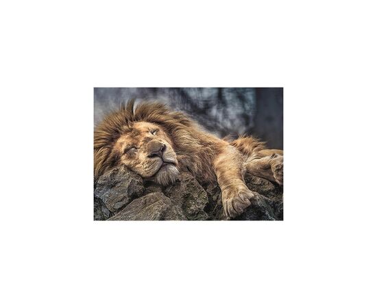 Пазл Trefl Спящий лев 1000 элементов (5900511104479), изображение 2 Пазл Trefl Спящий лев 1000 элементов (5900511104479), изображение 2