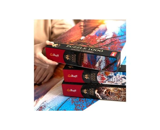 Пазл Trefl Premium Музей Боде в Берлине, Германия 1000 элементов (5900511108125), изображение 5 Пазл Trefl Premium Музей Боде в Берлине, Германия 1000 элементов (5900511108125), изображение 5