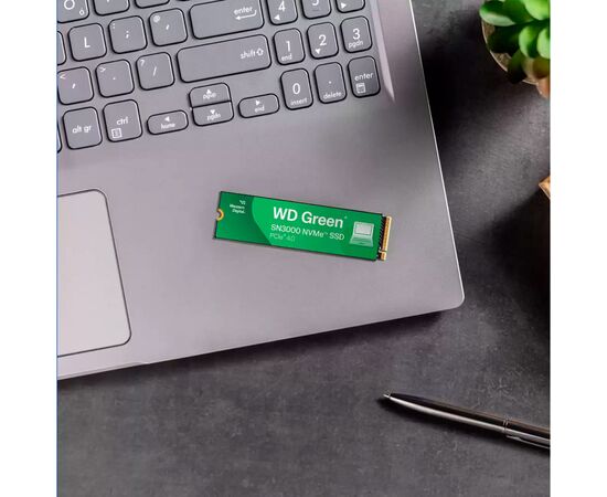 Накопитель SSD M.2 2280 500GB SN3000 WD (WDS500G4G0E), изображение 5 Накопитель SSD M.2 2280 500GB SN3000 WD (WDS500G4G0E), изображение 5