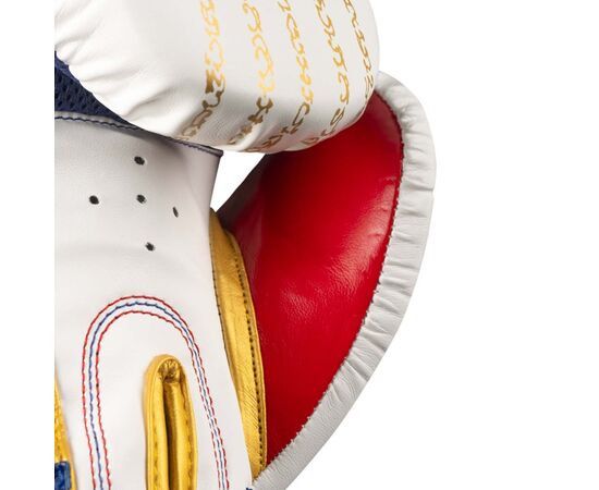 Боксерські рукавички Phantom Muay Thai Gold 12 унцій (PHBG2590-12), зображення 5