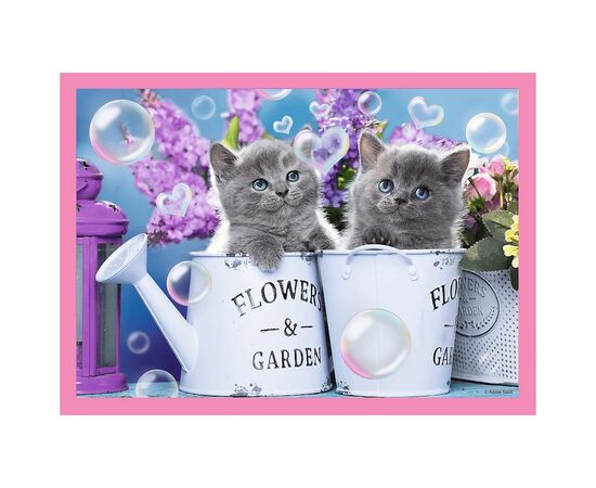 Пазл Trefl Забавные коты 4 in 1 (35, 48, 54, 70) элемента (5900511343960), изображение 5 Пазл Trefl Забавные коты 4 in 1 (35, 48, 54, 70) элемента (5900511343960), изображение 5