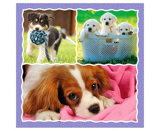 Пазл Trefl Милые собаки 3 in1 (5900511348545), изображение 2 Пазл Trefl Милые собаки 3 in1 (5900511348545), изображение 2