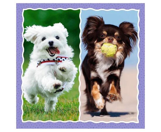 Пазл Trefl Милые собаки 3 in1 (5900511348545), изображение 3 Пазл Trefl Милые собаки 3 in1 (5900511348545), изображение 3