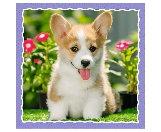 Пазл Trefl Милые собаки 3 in1 (5900511348545), изображение 4 Пазл Trefl Милые собаки 3 in1 (5900511348545), изображение 4