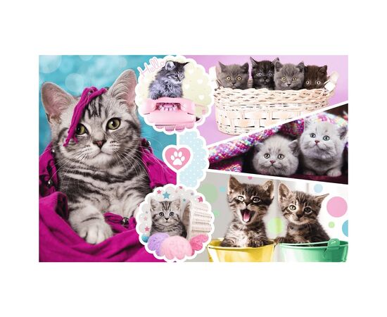 Пазл Trefl Милые котята 160 элементов (5900511153712), изображение 2 Пазл Trefl Милые котята 160 элементов (5900511153712), изображение 2