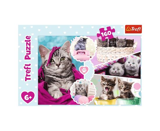 Пазл Trefl Милые котята 160 элементов (5900511153712), изображение 3 Пазл Trefl Милые котята 160 элементов (5900511153712), изображение 3
