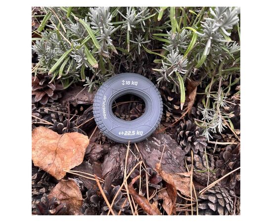 Эспандер PowerPlay PP-4330 Hand Grip Loops Medium 18-22,5 кг Сірий (PP_4330_Grey_(18-22.5kg)), изображение 9 Эспандер PowerPlay PP-4330 Hand Grip Loops Medium 18-22,5 кг Сірий (PP_4330_Grey_(18-22.5kg)), изображение 9