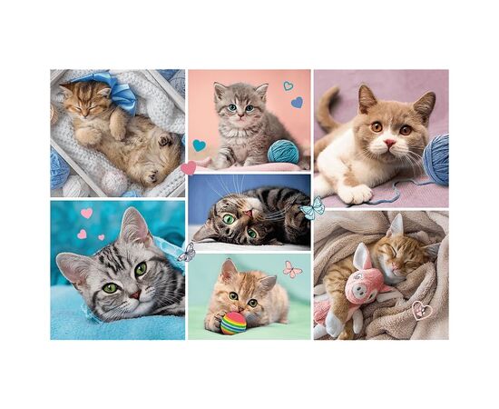 Пазл Trefl В кошачьем мире 100 элементов (5900511164206), изображение 2 Пазл Trefl В кошачьем мире 100 элементов (5900511164206), изображение 2