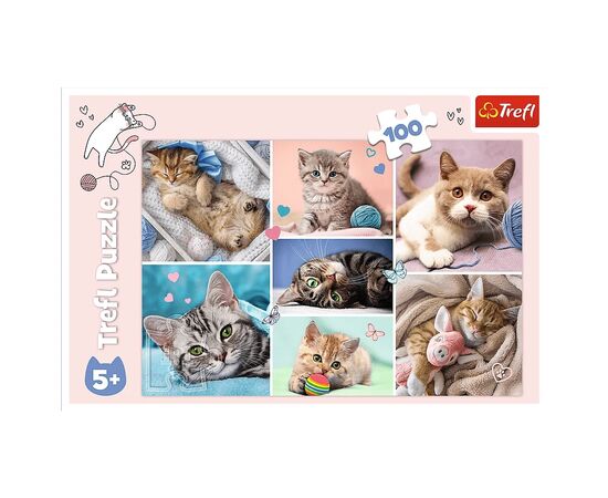 Пазл Trefl В кошачьем мире 100 элементов (5900511164206), изображение 3 Пазл Trefl В кошачьем мире 100 элементов (5900511164206), изображение 3