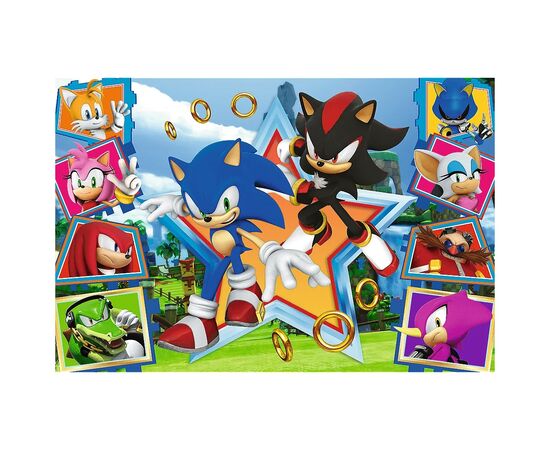 Пазл Trefl Sonic Встречайте Соника 100 элементов (5900511164657), изображение 2 Пазл Trefl Sonic Встречайте Соника 100 элементов (5900511164657), изображение 2