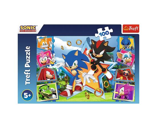 Пазл Trefl Sonic Встречайте Соника 100 элементов (5900511164657), изображение 3 Пазл Trefl Sonic Встречайте Соника 100 элементов (5900511164657), изображение 3