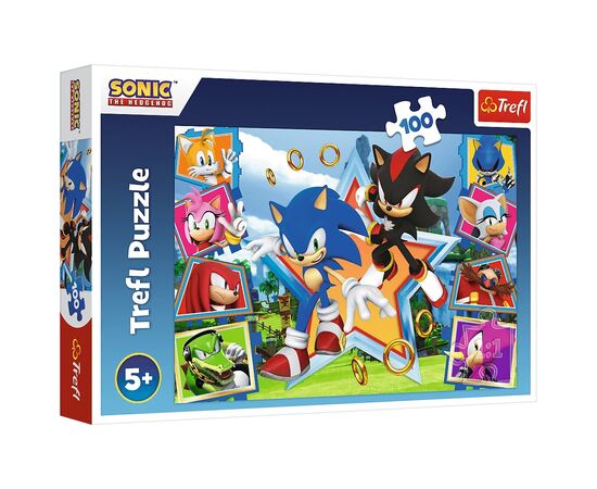 Пазл Trefl Sonic Встречайте Соника 100 элементов (5900511164657)