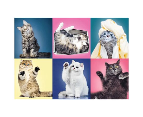 Пазл Trefl Котята 500 элементов (5900511373776), изображение 2 Пазл Trefl Котята 500 элементов (5900511373776), изображение 2