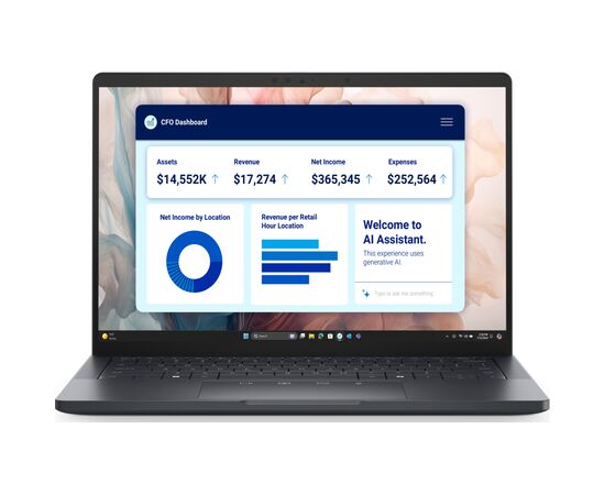 Ноутбук Dell Pro 13 (BTO208PA13250UA_W11P)