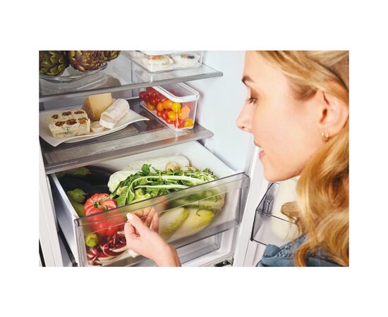 Холодильник Candy CNCQ2T620EW, зображення 11 Холодильник Candy CNCQ2T620EW, зображення 11