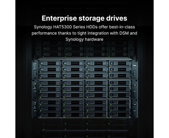 Жесткий диск для сервера Synology 3.5" 20TБ SATA 7200 (HAT5310-20T), изображение 2 Жесткий диск для сервера Synology 3.5" 20TБ SATA 7200 (HAT5310-20T), изображение 2