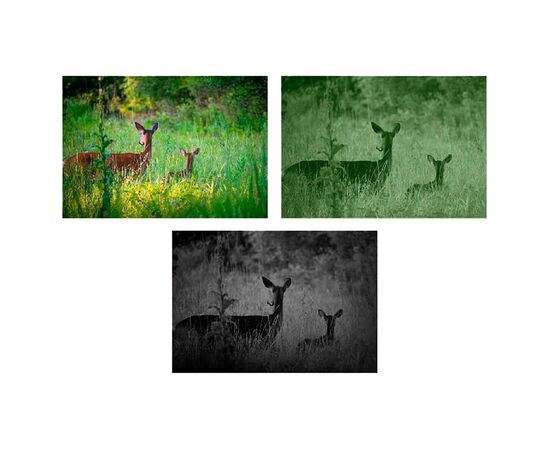 Оптичний приціл Guide Цифровий DU50 1920x1080 50mm (747152), зображення 6 Оптичний приціл Guide Цифровий DU50 1920x1080 50mm (747152), зображення 6