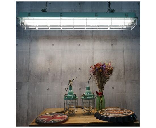 Лампочка EVROLIGHT L-1500 6400K 24Вт G13 T8, зображення 4 Лампочка EVROLIGHT L-1500 6400K 24Вт G13 T8, зображення 4