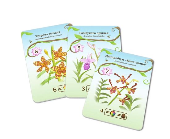 Настольная игра WoodCat ОВВА. Орхидеи! (Oh my. Orchids!) (укр.) (ВР_ОО), изображение 4 Настольная игра WoodCat ОВВА. Орхидеи! (Oh my. Orchids!) (укр.) (ВР_ОО), изображение 4