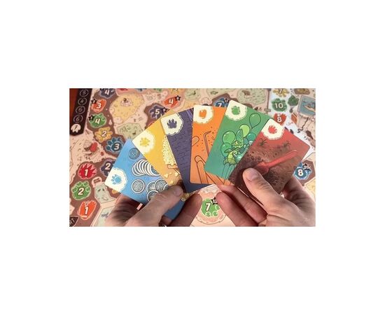 Настольная игра Pegasus Spiele KuZOOkA (KuZOOkA) (англ.) (PS210), изображение 4 Настольная игра Pegasus Spiele KuZOOkA (KuZOOkA) (англ.) (PS210), изображение 4