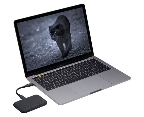 Накопитель SSD USB-C 4TB LaCie (STHZ4000800), изображение 4 Накопитель SSD USB-C 4TB LaCie (STHZ4000800), изображение 4