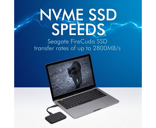 Накопитель SSD USB-C 4TB LaCie (STHZ4000800), изображение 7 Накопитель SSD USB-C 4TB LaCie (STHZ4000800), изображение 7