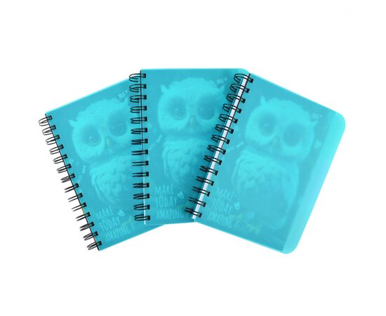 Блокнот Yes В6 Owl 144 аркуша пластикова обкладинка (681993), зображення 2 Блокнот Yes В6 Owl 144 аркуша пластикова обкладинка (681993), зображення 2