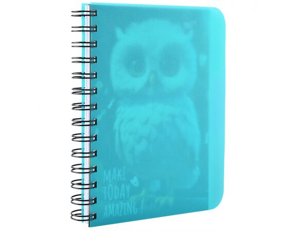 Блокнот Yes В6 Owl 144 аркуша пластикова обкладинка (681993), зображення 3 Блокнот Yes В6 Owl 144 аркуша пластикова обкладинка (681993), зображення 3