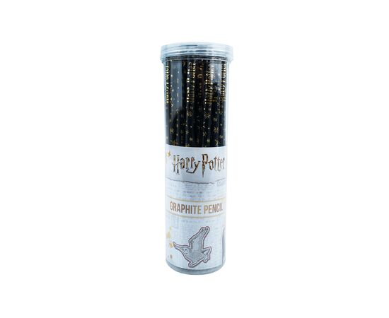 Карандаш графитный Kite Harry Potter, туба (HP23-159), изображение 2 Карандаш графитный Kite Harry Potter, туба (HP23-159), изображение 2