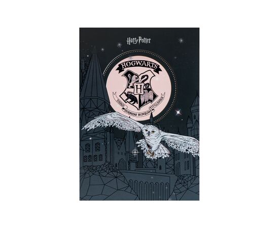 Блокнот Kite Harry Potter A5, 50 листов, клетка (HP25-194-1)