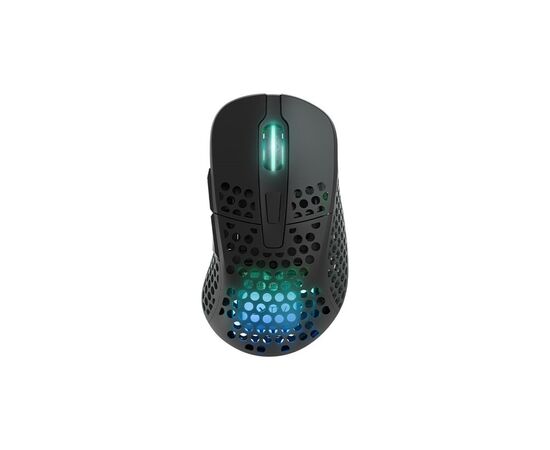 Мышка Cherry Xtrfy M4 RGB Wireless/USB Black (M4W-RGB-BLACK)